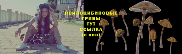 стафф Алзамай