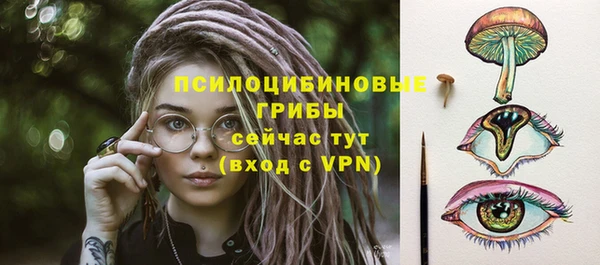 стафф Алзамай