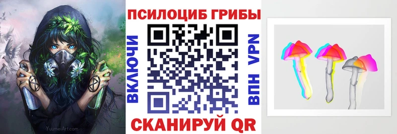 Галлюциногенные грибы Cubensis  Бокситогорск 